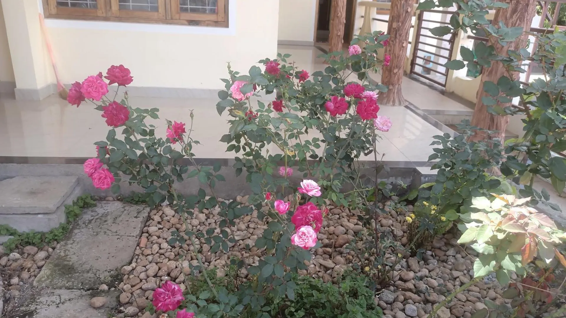 Munnar Adhi Cottage In Chinnakanal 0*,  India