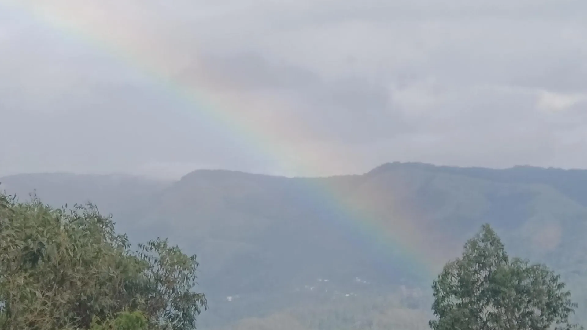 Munnar Adhi Cottage In Chinnakanal