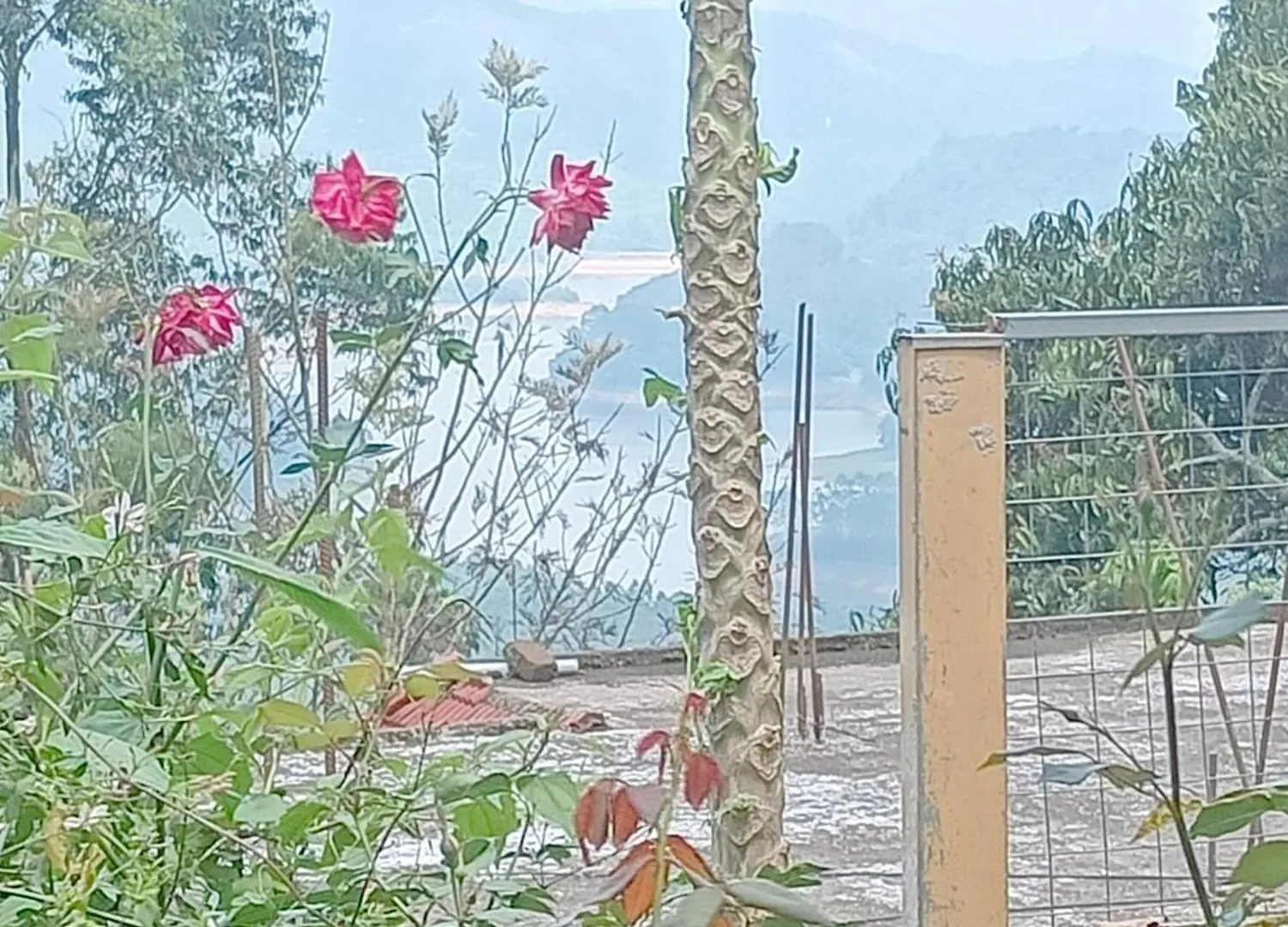 Villa Munnar Adhi Cottage In Chinnakanal India